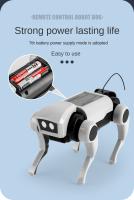Robot Solar Rc para perro y gato, experimento científico, construcción artesanal, herramienta de aprendizaje, Robots educativos, Kit de dispositivos tecnológicos para chico - details 5