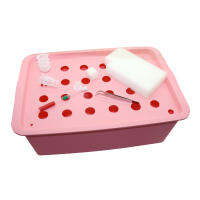 Kit hidropónico para sitio de plantas, macetas de jardín, plántulas, caja de cultivo interior, Kit de cultivo, macetas de vivero de burbujas, 1 Juego, 24 agujeros - details 6
