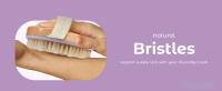 Natural Bristles