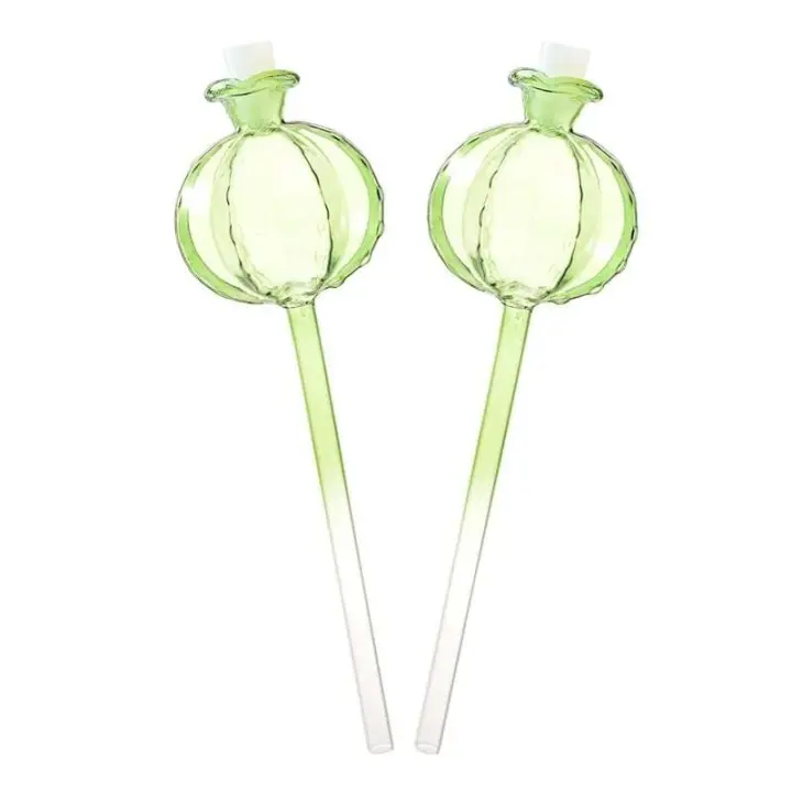 2 uds globos de plantas automáticos bolas dispositivo de agua sistema de riego por goteo herramientas de autorriego de Cactus - 1
