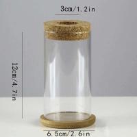 Mini ETA hidropónica de vidrio transparente, jarrones para plantas sin piso, cristalería vintage para salas de estar, hogares, oficinas, mesas, - details 0
