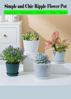 Nuevo plástico resina, bolas de cactus, ETA carnoso blanco con bandeja - details 0