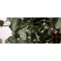 Plantas Artificiales Decorativas - Bambú Artificial 105 cm con Tronco Natural, Arbol Artificial, Planta Artificial Realista, Decoración Hogar - details 0