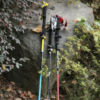 Bastón de Senderismo Nórdico Telescópico Alpenstock de Fibra de Carbono con 5 Secciones Absorbente de Choques Plegable para Aviación - details 4