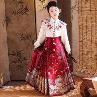 Hanfu, nueva falda con cara de caballo chino para niños, ropa estilo Tang de Año Nuevo para niñas, conjunto de temporada de primavera y otoño - details 7