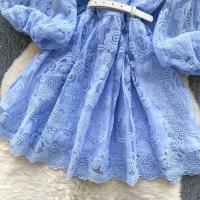 Francia elegante Vintage Palacio noche mujeres bordado fajas Vestido corto de fiesta diseño femenino Casual ropa de vacaciones nuevo - details 11