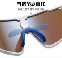 Las gafas de sol para montar al aire libre para niños transfronterizas se pueden combinar con miopía deportes al aire libre gafas de sol gafas de sol - details 6