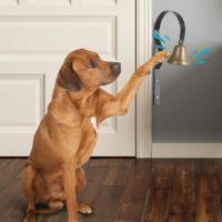 Campana colgante profesional para perros, timbre de entrenamiento de latón transparente fuerte con tornillos, suministros para mascotas, orinal - details 3