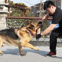 Juguete Interactivo para Masticar para Perros Grandes Duradero con Asa y Cuerda Juguete de Entrenamiento para Mascotas - details 15