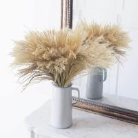 20 piezas de regalo para boda, ramo de flores secas, hierba de Pampas, Phragmites, decoración del hogar - details 6