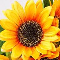 Girasoles artificiales