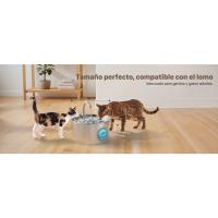 fuente agua gatos fonte de agua para gatos fuente gato fuente gatos acero inoxidable
