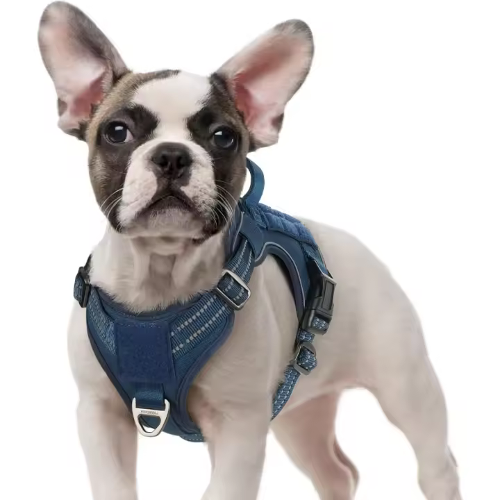 Arnes de Perro Antitirones, Arnes de Perro Mediano Grande Transpirable, Táctico, Ajustable con Asa de Anillos y Molle, Chaleco - 1