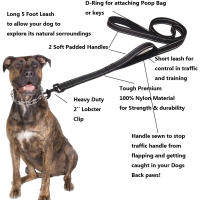 Correa De Nylon Para Perros Con Doble Manija Y Padded Resistente Para Control Y Entrenamiento En Todas Las Estaciones - details 3