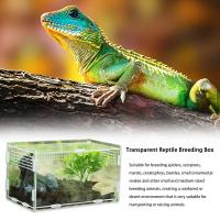 Contenedor acrílico profesional para lagarto, ranas, incubadora de insectos, terrarios, caja de cría, incubadora de reptiles, suministros para insectos - details 7