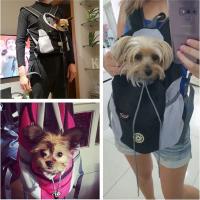 Bolsa de transporte para perros, mochila de viaje portátil de doble hombro para exteriores - details 2