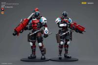 JOYTOY Infinity 1/18 figuras de acción Nomads Wildcats unidad táctica polivalente 10cm juguetes tienda oficial - details 2