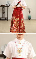 Nuevo conjunto Hanfu con cara de caballo para niñas, estilo Tang antiguo chino Ming para niños, primavera y verano diarios - details 12