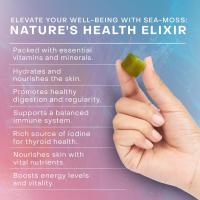 Gomitas brillantes de algas marinas calientes Sea Moss Glow Gummies - details 2