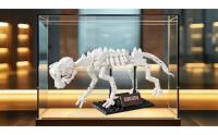 Saber-toothed Cat
