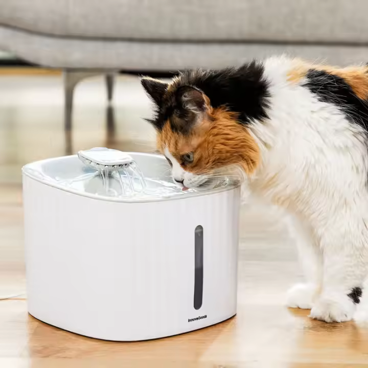Fuente para Mascotas Drinkatt InnovaGoods - 1