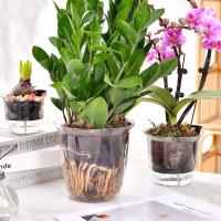 Maceta transparente de plástico con autorriego para jardín interior - details 5