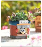Juicy Cactus Creative Mini Plant Garden ETA, Tema de Sushi para Hornear TER, Decoración del Hogar - details 3