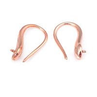 Ganchos de Pendientes de Metal de Alta Calidad Color Oro-Platino Accesorios de Joyería DIY para Mujeres - details 3