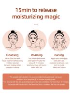 Máquina de vapor de belleza para el cuidado de la piel Facial, pulverizador de rejuvenecimiento de la piel, hidratante Facial co - details 7