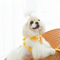 Elefante Arnés Bonito para Perros Pequeños Collar y Correa para el Cuello Dibujos Animados - details 3