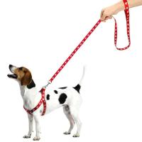 Correa perro pequeño, cachorros, conjunto correas arnés peluche, bonito juego cuerdas plomo, correa gato y gatito, decoración de - details 0