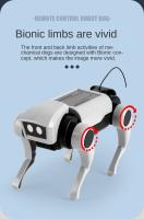 Robot Solar Rc para perro y gato, experimento científico, construcción artesanal, herramienta de aprendizaje, Robots educativos, Kit de dispositivos tecnológicos para chico - details 2