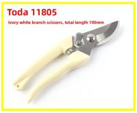Ivory Scissors.