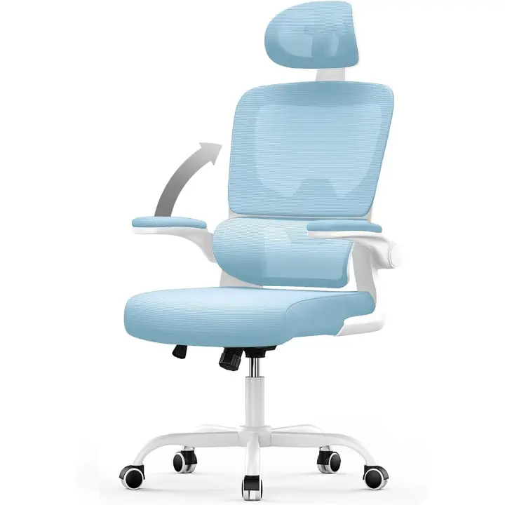 Silla de Oficina Ergonómica Soporte Lumbar, Altura Ajustable, Reposabrazos Abatible, Silla de Escritorio con Respaldar y Correa - 1