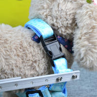 Silla de ruedas para perros con discapacidad, elevador de extremidades traseras para mascotas, carrito de aleación de aluminio, Osito de pelo dorado, asistencia para piernas traseras, soporte para ejercicio, andador - details 17