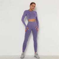 conjunto de yoga para mujer sin costuras ropa deportiva de gimnasio con manga larga sujetador de alto cinturón leggings de gimnasio traje deportivo - details 43