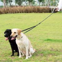 WALK 2 Correa dos CORREAS ACOPLADOR para pasear perros con doble correa - details 11