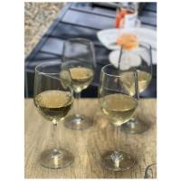 Juego de plástico de 4 (12 oz), juego de vasos Tritan Hammer sin BPA, vasos irrompibles, copas de vino - details 3