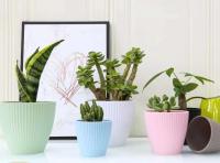 Macetas de cerámica de colores modernas para vivero de jardín, macetas de plástico para plantas de interior - details 5