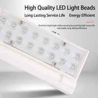 Lámpara de Camping Solar Portátil Plegable LED para Dormitorio Iluminación y Decoración Novedosa - details 3