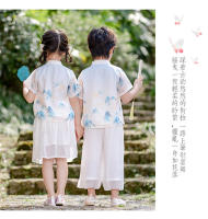 Hanfu Primavera/Verano Estilo infantil Cultura tradicional china Étnico Tang Niños Elegantes Niñas Guzheng Danza Actuación - details 9
