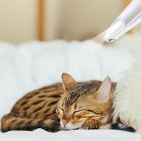 Afeitadora de pies para mascotas de bajo ruido, recargable por USB, con pantalla inteligente, cortapelos eléctrico para mascotas con LED, afeitadora de pelo para gatos a prueba de agua - details 7