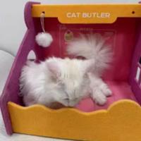 Nido de gato de fieltro de seguridad multifunción, casa para gatos semicerrada, no ocupante, plegable, resistente a los arañazos, caja de papel para cachorros - details 7