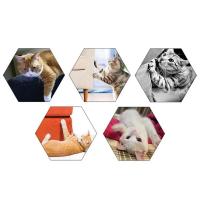 Poste de Rascar para Gatos Tablero de Sisal Adecuado para Todas las Edades de Mascotas - details 2