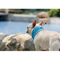 Collar de Hielo de Verano para Perros Collar Fresco Instantáneo con Agujero para Correa - details 6