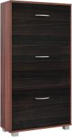 Mueble para 18 Pares Organizador Zapatos 3 Puertas Compacto 115x61x24cm - details 27