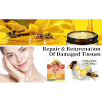 bee venom cream