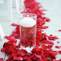 petalos