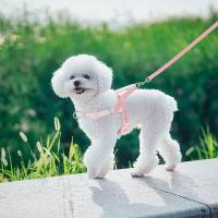Conjunto arnés de nailon perro, correa sin tirones cachorros, chaleco mascotas con plomo caminar, ustable para perros pequeños y - details 12
