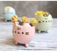ETA i ued para un agujero de planta jugoso, macizo de flores con un hermoso animal, lindo gato, decoración de jardín, bonai ETA, cumpleaños - details 7